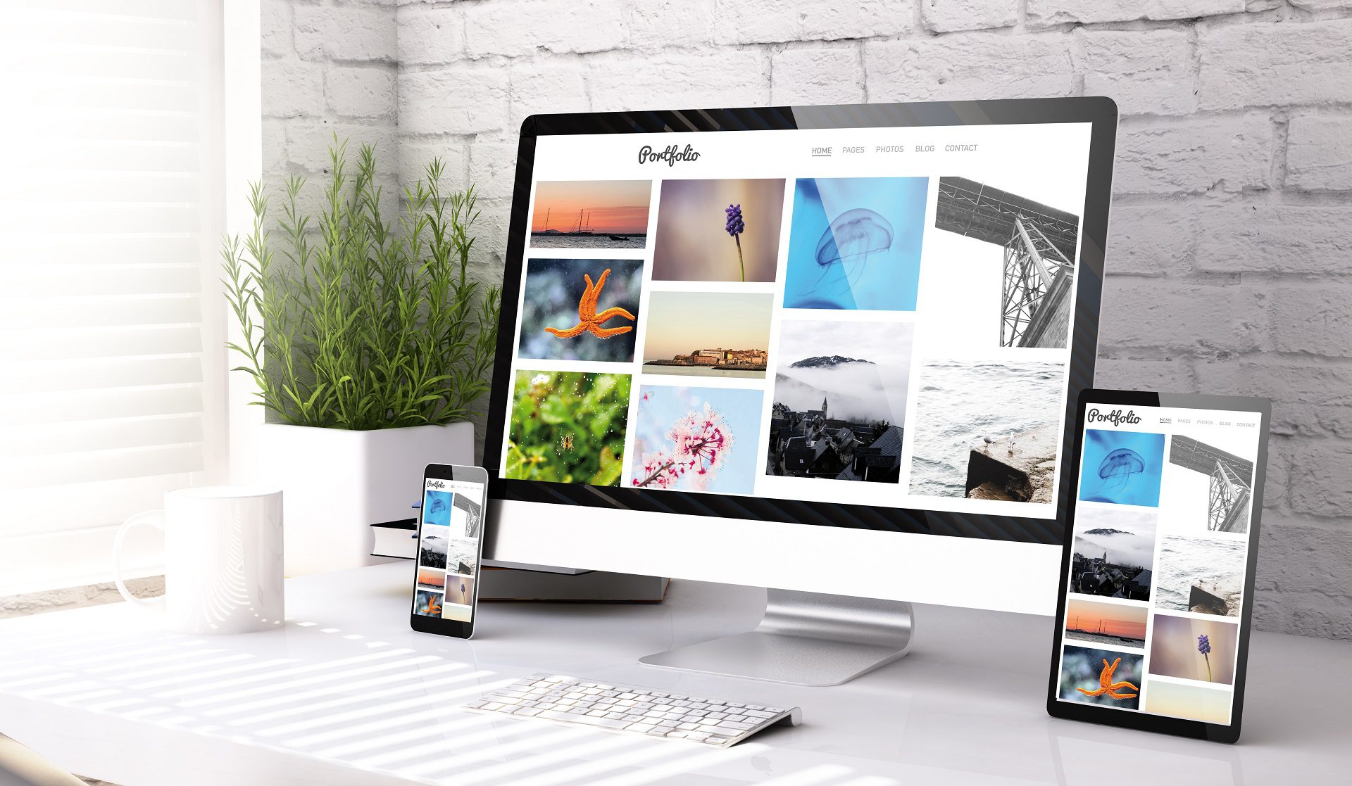 Website Graphics and Stock Images